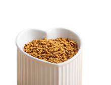 Charger l'image dans la galerie, Gamelle Inclinée en Céramique pour Chats et Chiens – Ergonomique, Antivomissement et Facile à Nettoyer