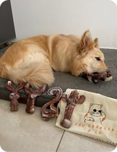 Charger l'image dans la galerie, Collection chewforce pour chiens : Jouets à mâcher en nylon, saveur Bœuf et ultra-résistants