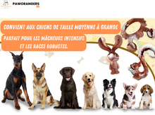 Charger l'image dans la galerie, Collection chewforce pour chiens : Jouets à mâcher en nylon, saveur Bœuf et ultra-résistants