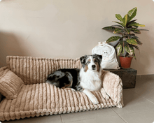 Charger l'image dans la galerie, Canapé-lit doux, orthopédique et déhoussable 4 saisons - Pour chiens et chats