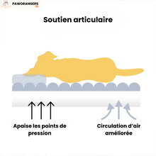 Charger l'image dans la galerie, Canapé-lit doux, orthopédique et déhoussable 4 saisons - Pour chiens et chats