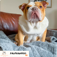 Charger l'image dans la galerie, Couverture douce et 100% imperméable pour animaux de compagnie : Spécial Automne & Hiver