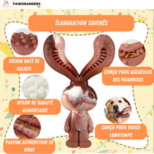 Charger l'image dans la galerie, Collection chewforce pour chiens : Jouets à mâcher en nylon, saveur Bœuf et ultra-résistants