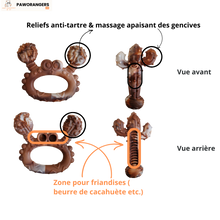 Charger l'image dans la galerie, Collection chewforce pour chiens : Jouets à mâcher en nylon, saveur Bœuf et ultra-résistants