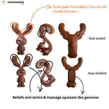 Charger l'image dans la galerie, Collection chewforce pour chiens : Jouets à mâcher en nylon, saveur Bœuf et ultra-résistants