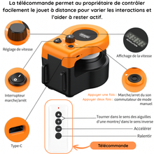 Charger l'image dans la galerie, Jouet interactif télécommandé pour chats – parfait pour les chats en surpoids ou peu actifs -– idée cadeau Noël 🎁