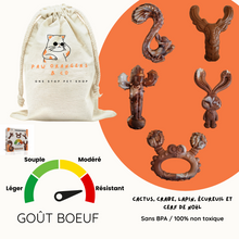 Charger l'image dans la galerie, Collection chewforce pour chiens : Jouets à mâcher en nylon, saveur Bœuf et ultra-résistants