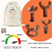 Charger l'image dans la galerie, Collection chewforce pour chiens : Jouets à mâcher en nylon, saveur Bœuf et ultra-résistants