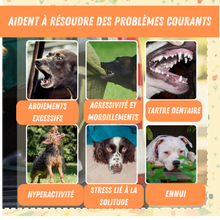 Charger l'image dans la galerie, Collection chewforce pour chiens : Jouets à mâcher en nylon, saveur Bœuf et ultra-résistants