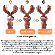 Charger l'image dans la galerie, Collection chewforce pour chiens : Jouets à mâcher en nylon, saveur Bœuf et ultra-résistants