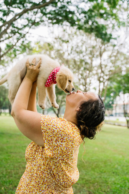 8 Tips for taking the perfect photo of your pet