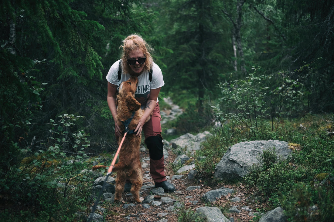 The Benefits of Daily Walks for Your Dog: Physical and Mental Health