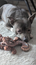 Charger l&#39;image dans la galerie, Collection chewforce pour chiens : Jouets à mâcher saveur Bœuf et ultra-résistants
