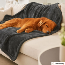Charger l&#39;image dans la galerie, Couverture imperméable en polaire effet mouton pour animaux de compagnie
