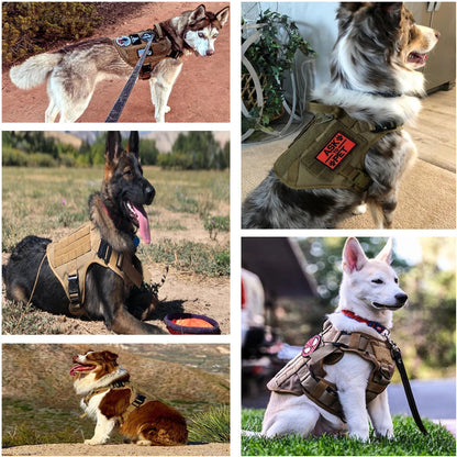 All-in-One Military Dog Harness Set: Ideal for Training & Walking Large Breeds like German Shepherds & Malinois