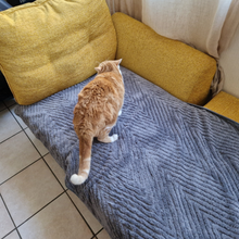 Charger l&#39;image dans la galerie, Protège-canapé à chevrons et waterproof - Spécial foyers avec animaux &amp; enfants
