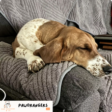 Charger l&#39;image dans la galerie, Protège-canapé en chevron 100 % imperméable — pas juste déperlant : étanche, anti-griffes, anti-poils et anti-taches.
