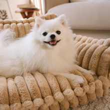 Charger l&#39;image dans la galerie, Canapé-lit doux, orthopédique et déhoussable 4 saisons - Pour chiens et chats

