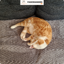 Charger l&#39;image dans la galerie, Protège-canapé en chevron 100 % imperméable — pas juste déperlant : étanche, anti-griffes, anti-poils et anti-taches.
