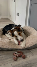 Charger l&#39;image dans la galerie, Collection chewforce pour chiens : Jouets à mâcher saveur Bœuf et ultra-résistants
