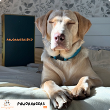 Charger l&#39;image dans la galerie, Couverture douce et 100% imperméable pour animaux de compagnie : Spécial Automne &amp; Hiver
