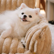 Charger l&#39;image dans la galerie, Canapé-lit doux, orthopédique et déhoussable 4 saisons - Pour chiens et chats
