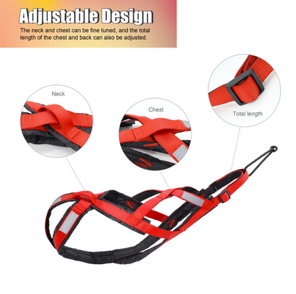 Waterproof Reflective Harness for Large Dogs - Ideal for Alaska Sledding