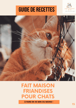 Charger l&#39;image dans la galerie, Le Pack complet pour propriétaires d&#39;animaux : Soins, Bien - être et Éducation - Paworangers&amp;Co_FR
