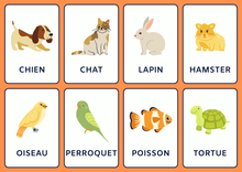 Charger l&#39;image dans la galerie, Le Pack complet pour propriétaires d&#39;animaux : Soins, Bien - être et Éducation - Paworangers&amp;Co_FR
