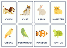 Charger l&#39;image dans la galerie, Le Pack complet pour propriétaires d&#39;animaux : Soins, Bien - être et Éducation - Paworangers&amp;Co_FR
