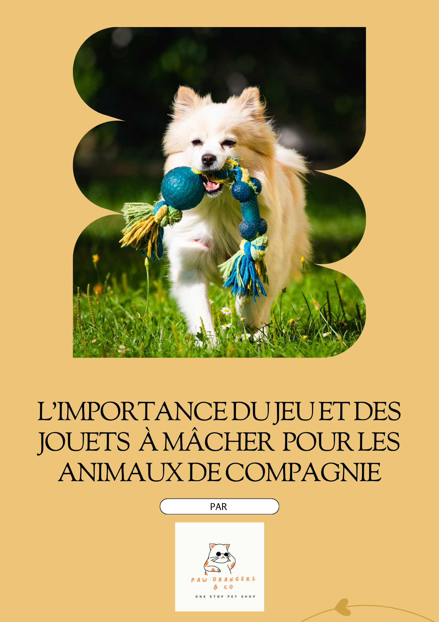 Le Pack Digital Bonus pour Propriétaires d’Animaux de Paworangers&Co