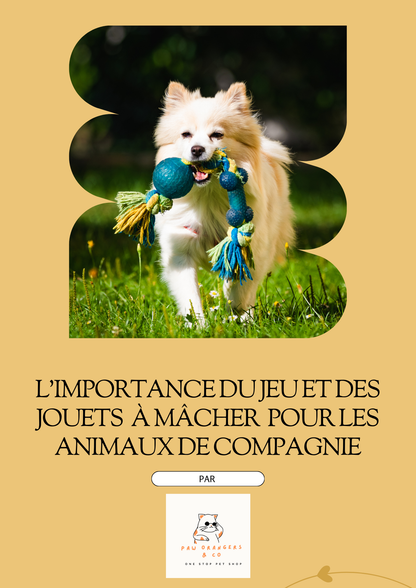 Le Pack Digital Bonus pour Propriétaires d’Animaux de Paworangers&Co