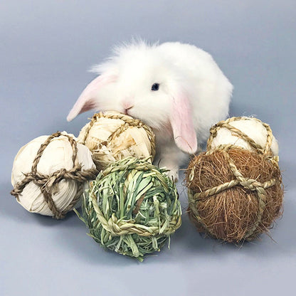 Paworangers Chew Toys - Balls for Rabbits, Hamsters, and Small Rodents