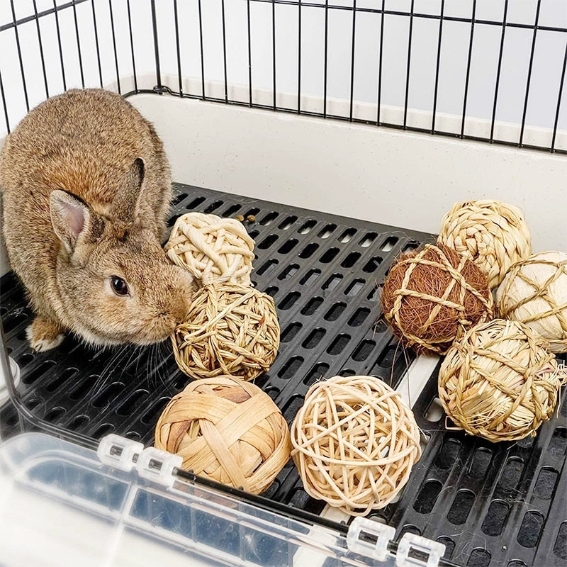 Paworangers Chew Toys - Balls for Rabbits, Hamsters, and Small Rodents