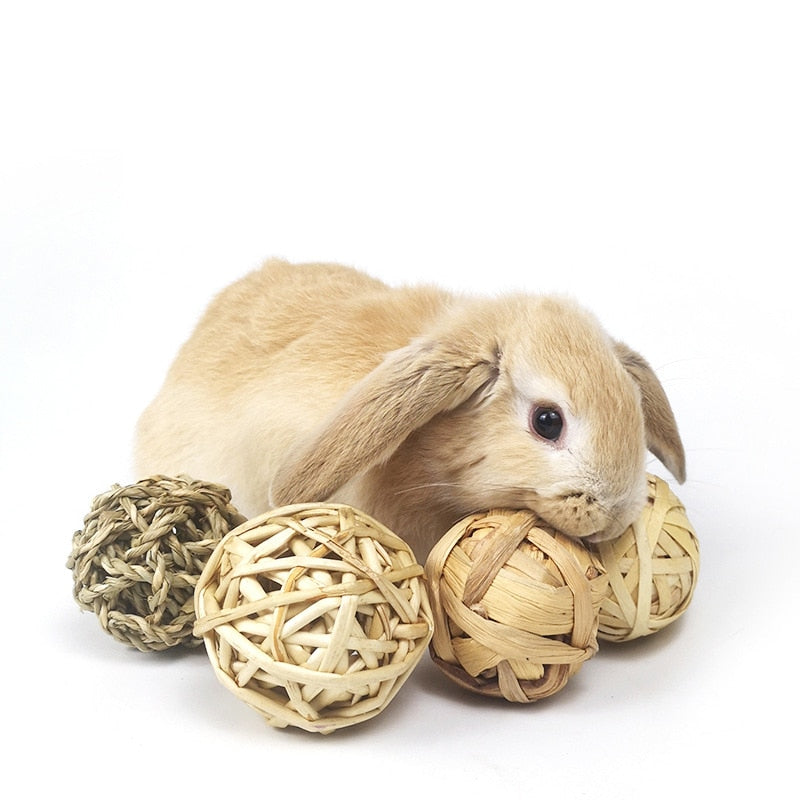 Paworangers Chew Toys - Balls for Rabbits, Hamsters, and Small Rodents