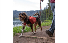 Load image into Gallery viewer, Ruffwear Front Range™ Day Pack
