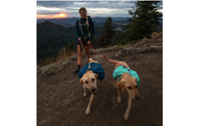 Load image into Gallery viewer, Ruffwear Front Range™ Day Pack
