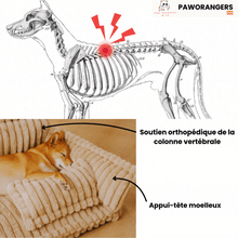 Charger l&#39;image dans la galerie, Canapé-lit doux, orthopédique et déhoussable 4 saisons - Pour chiens et chats
