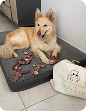 Charger l&#39;image dans la galerie, Collection chewforce pour chiens : Jouets à mâcher saveur Bœuf et ultra-résistants
