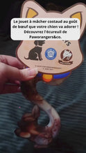 Charger et lire la vidéo dans la visionneuse de la Galerie, Collection ChewForce | Jouets à mâcher saveur bœuf pour chien
